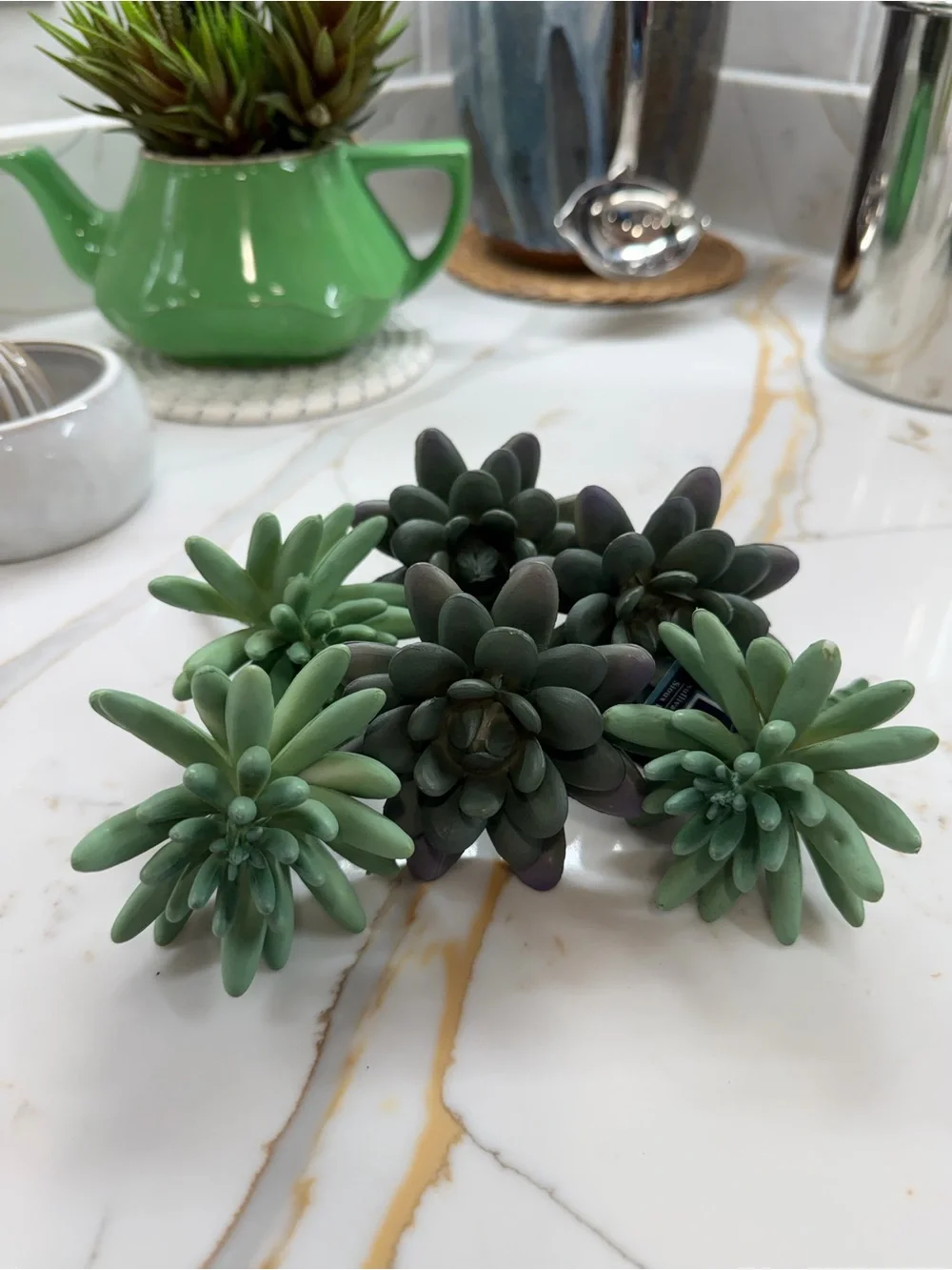 Artificial Succulent Arrangement in Green -